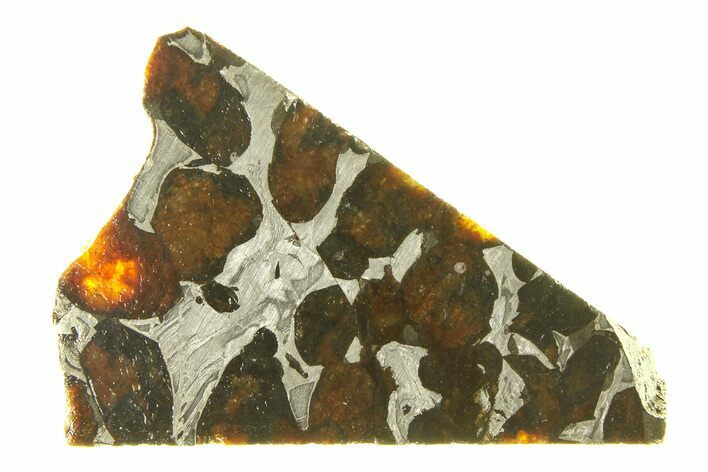 Polished Sericho Pallasite Meteorite ( g) Slice - Kenya #294891